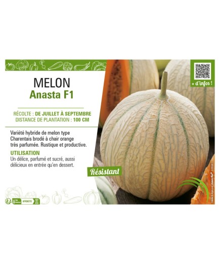 MELON ANASTA F1