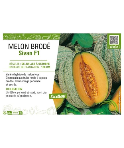 MELON BRODÉ SIVAN F1