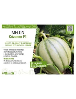 MELON CÉZANNE F1