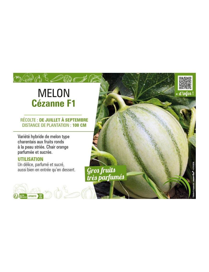 MELON CÉZANNE F1