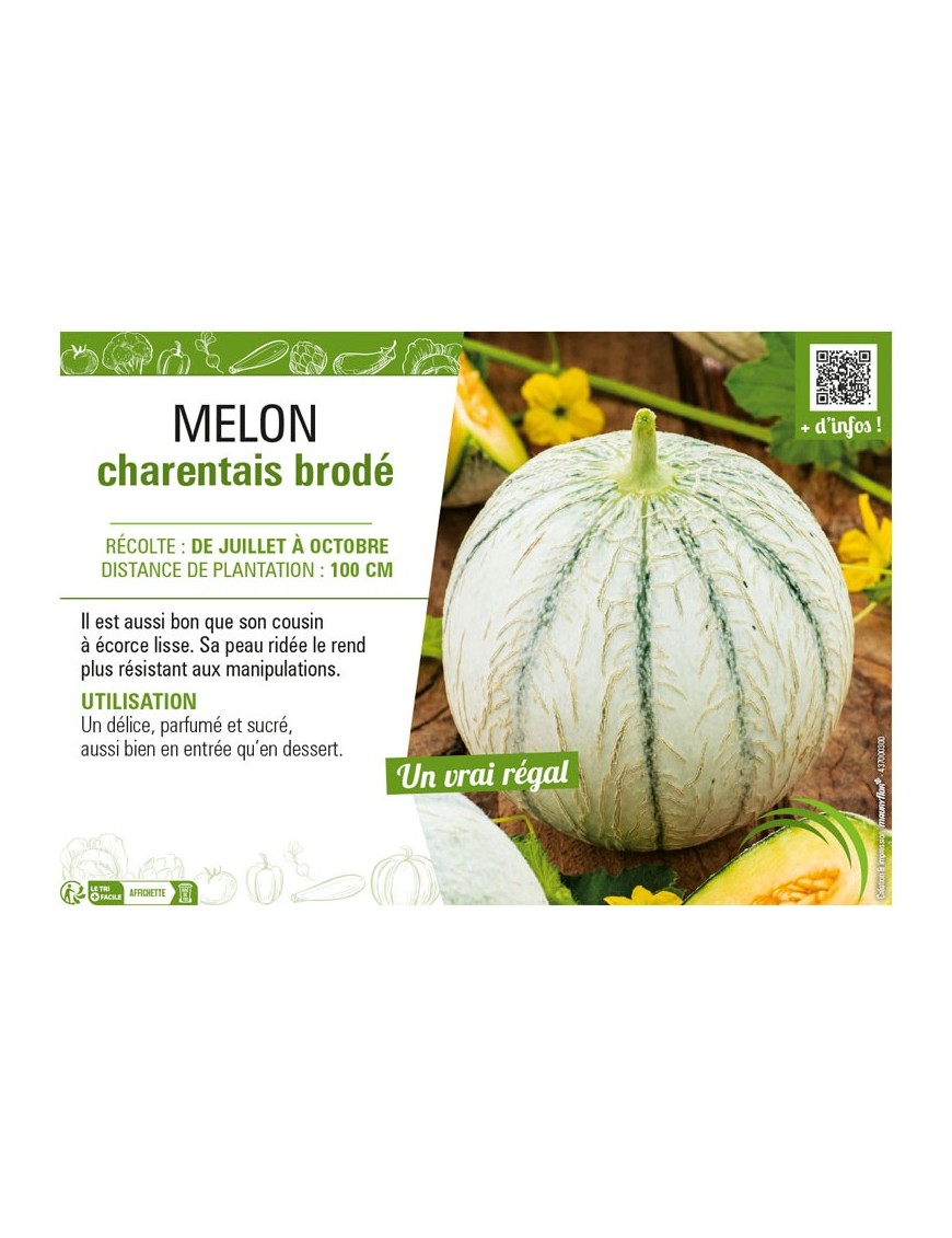 MELON CHARENTAIS BRODÉ