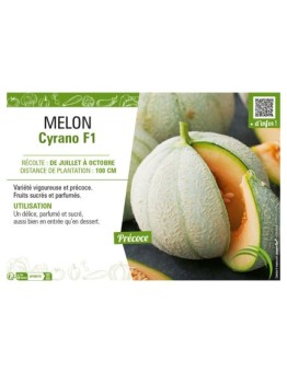 MELON CYRANO F1