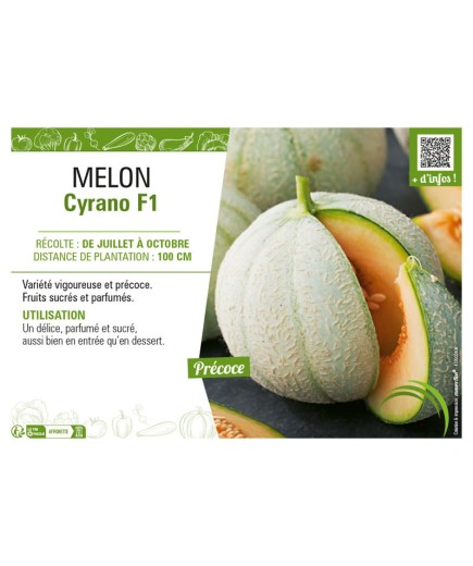 MELON CYRANO F1