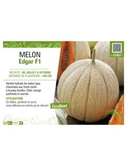 MELON EDGAR F1