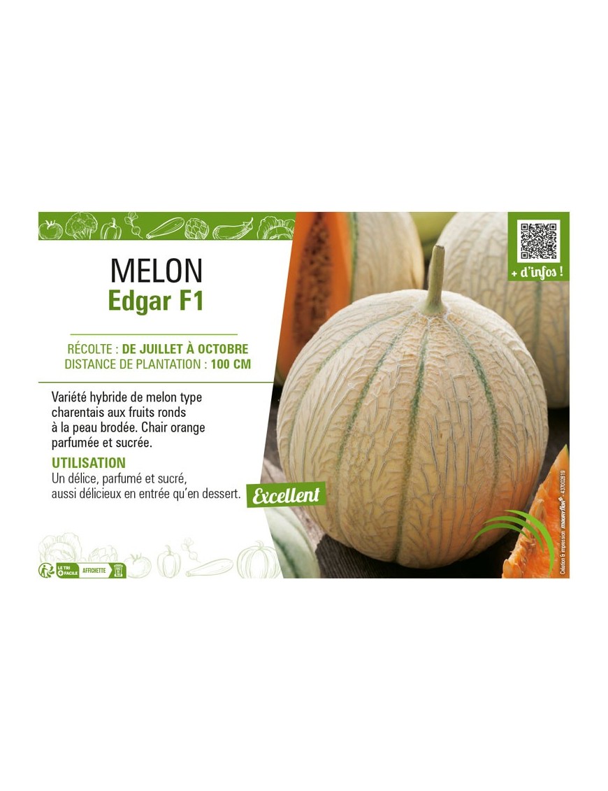 MELON EDGAR F1