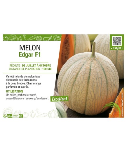 MELON EDGAR F1