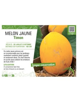 MELON JAUNE TIMON