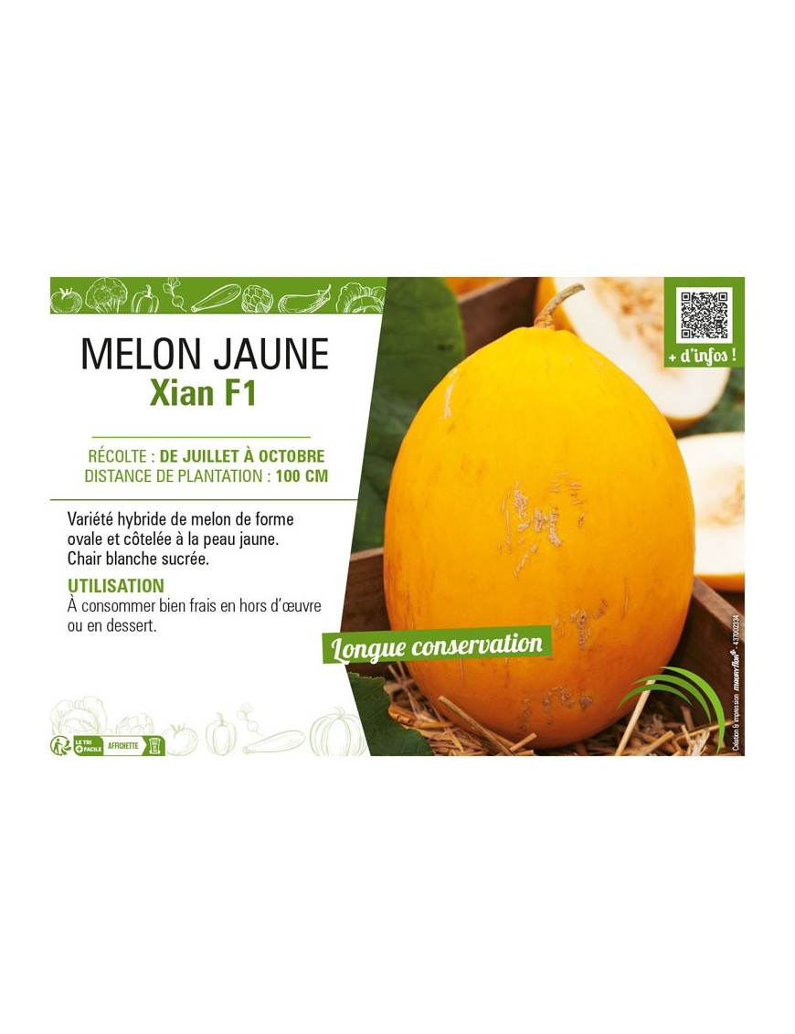MELON JAUNE XIAN F1