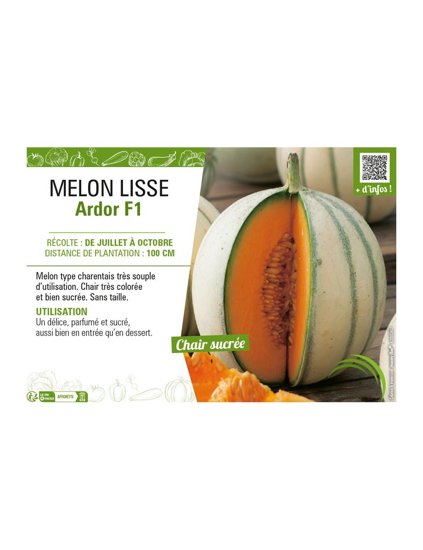 MELON LISSE ARDOR F1