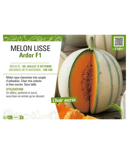 MELON LISSE ARDOR F1