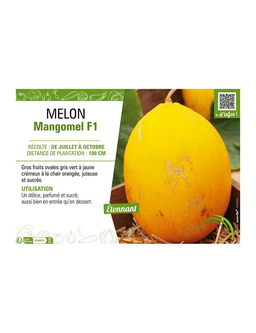 MELON MANGOMEL F1