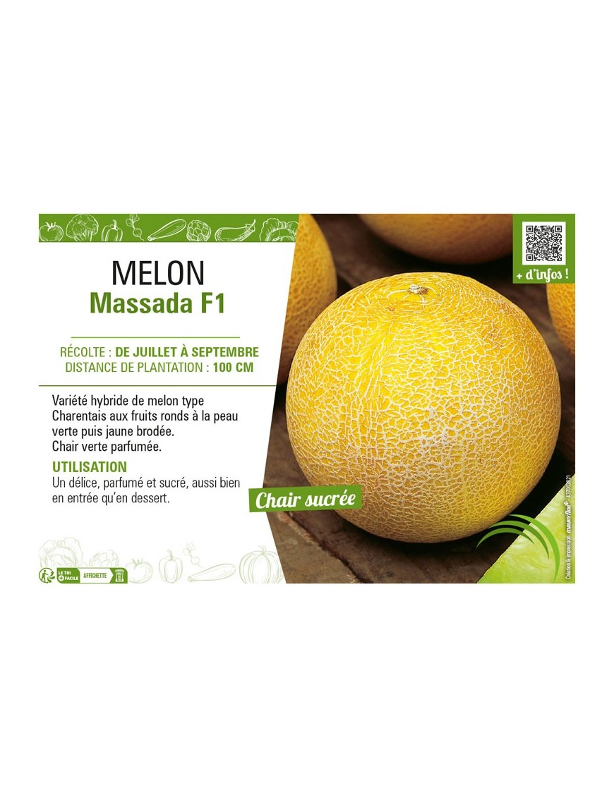 MELON MASSADA F1