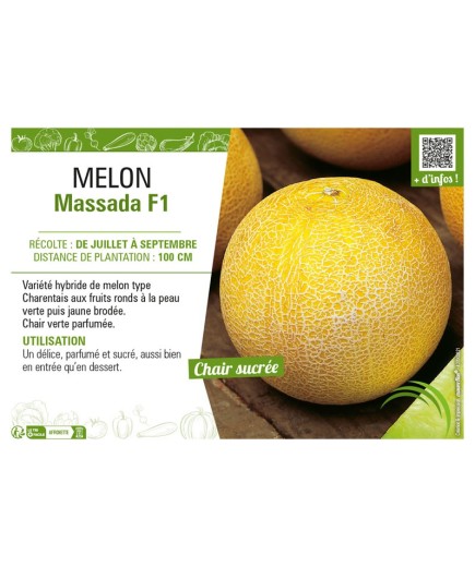 MELON MASSADA F1