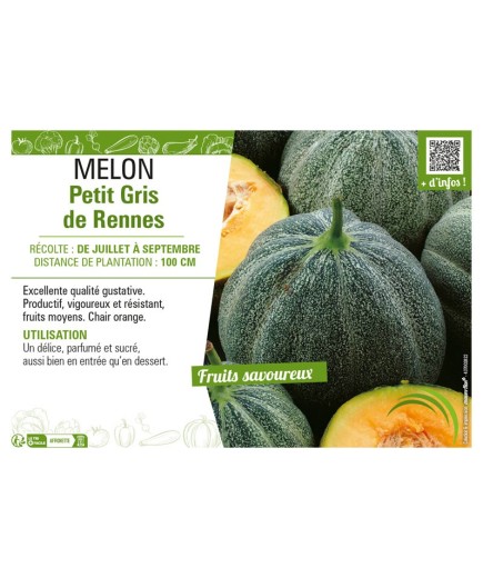 MELON PETIT GRIS DE RENNES