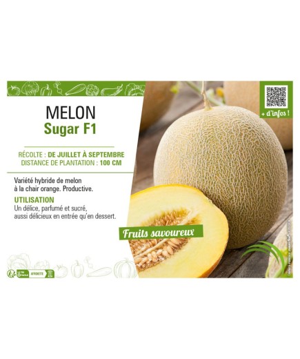 MELON SUGAR F1