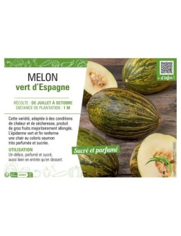 MELON VERT D'Espagne