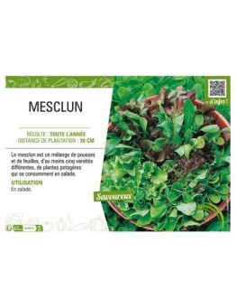 MESCLUN