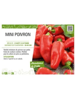 MINI POIVRON