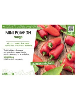 MINI POIVRON ROUGE
