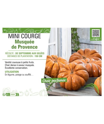 MINI COURGE MUSQUEE DE PROVENCE