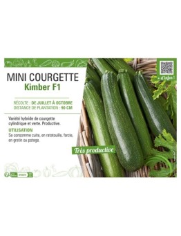 MINI COURGETTE KIMBER F1