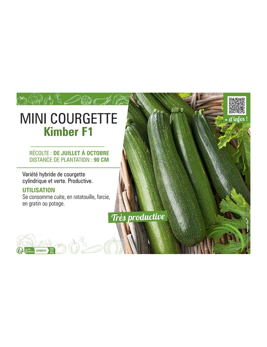 MINI COURGETTE KIMBER F1