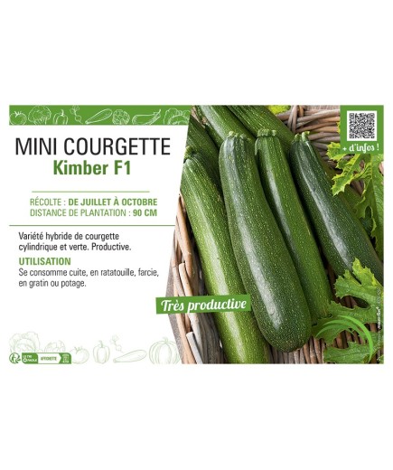 MINI COURGETTE KIMBER F1