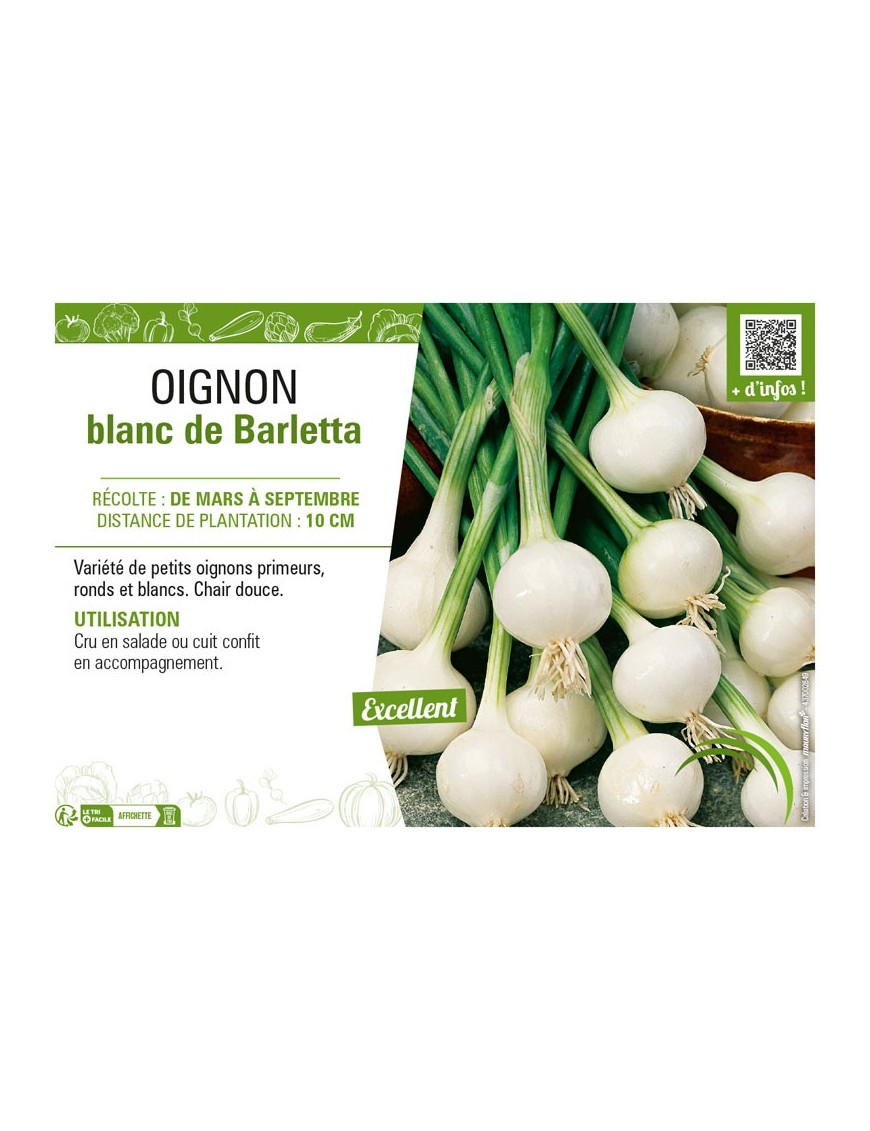 OIGNON BLANC DE BARLETTA