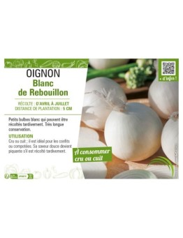 OIGNON BLANC DE REBOUILLON