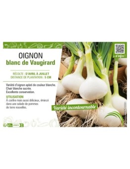 OIGNON BLANC DE VAUGIRARD