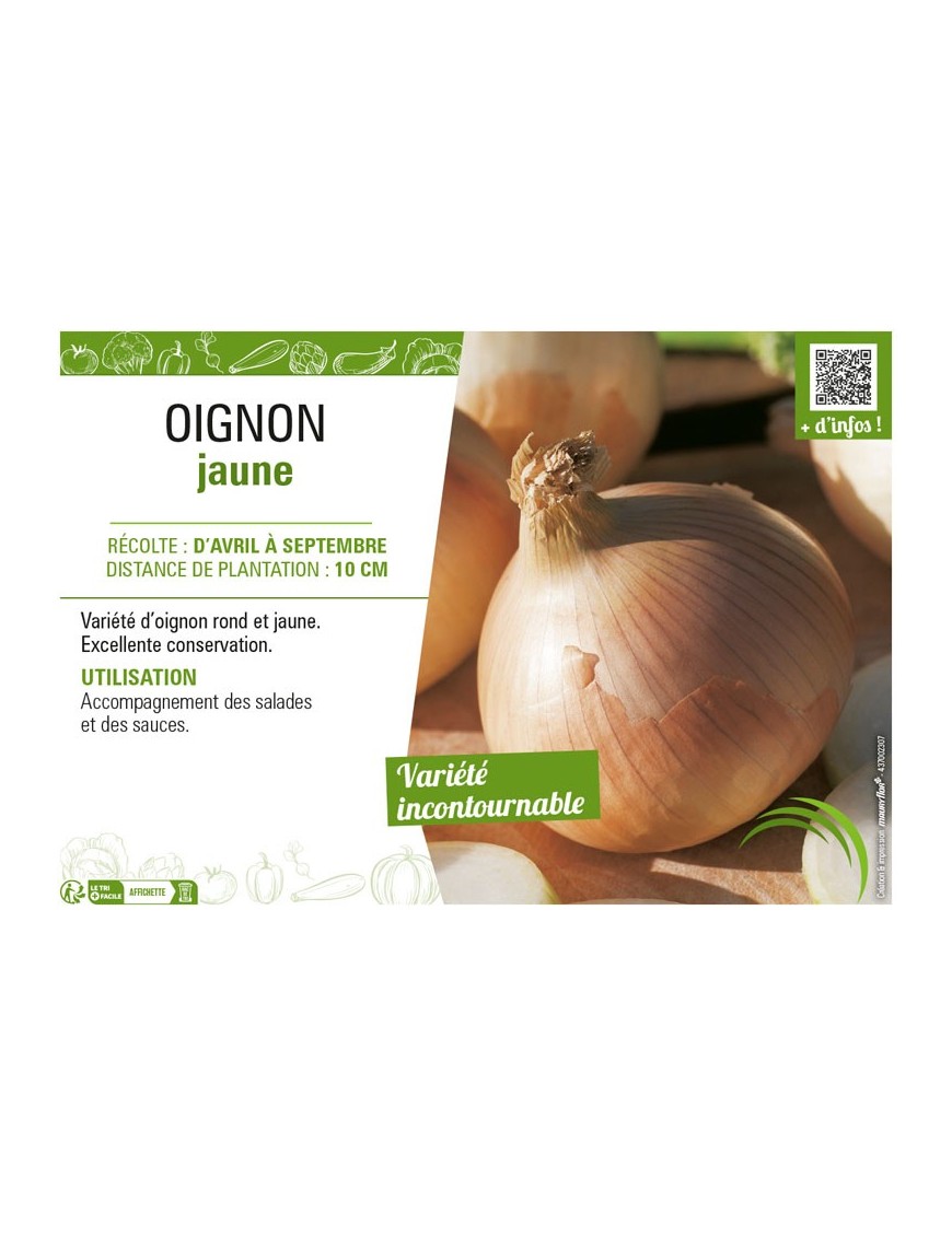 OIGNON JAUNE