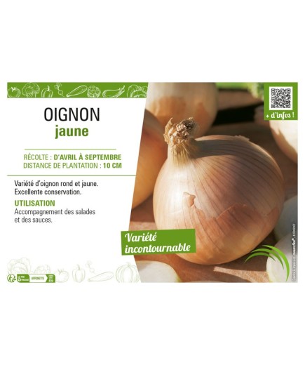 OIGNON JAUNE