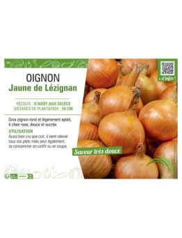 OIGNON JAUNE DE LEZIGNAN