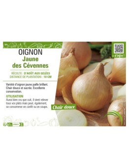 OIGNON JAUNE DES CEVENNES