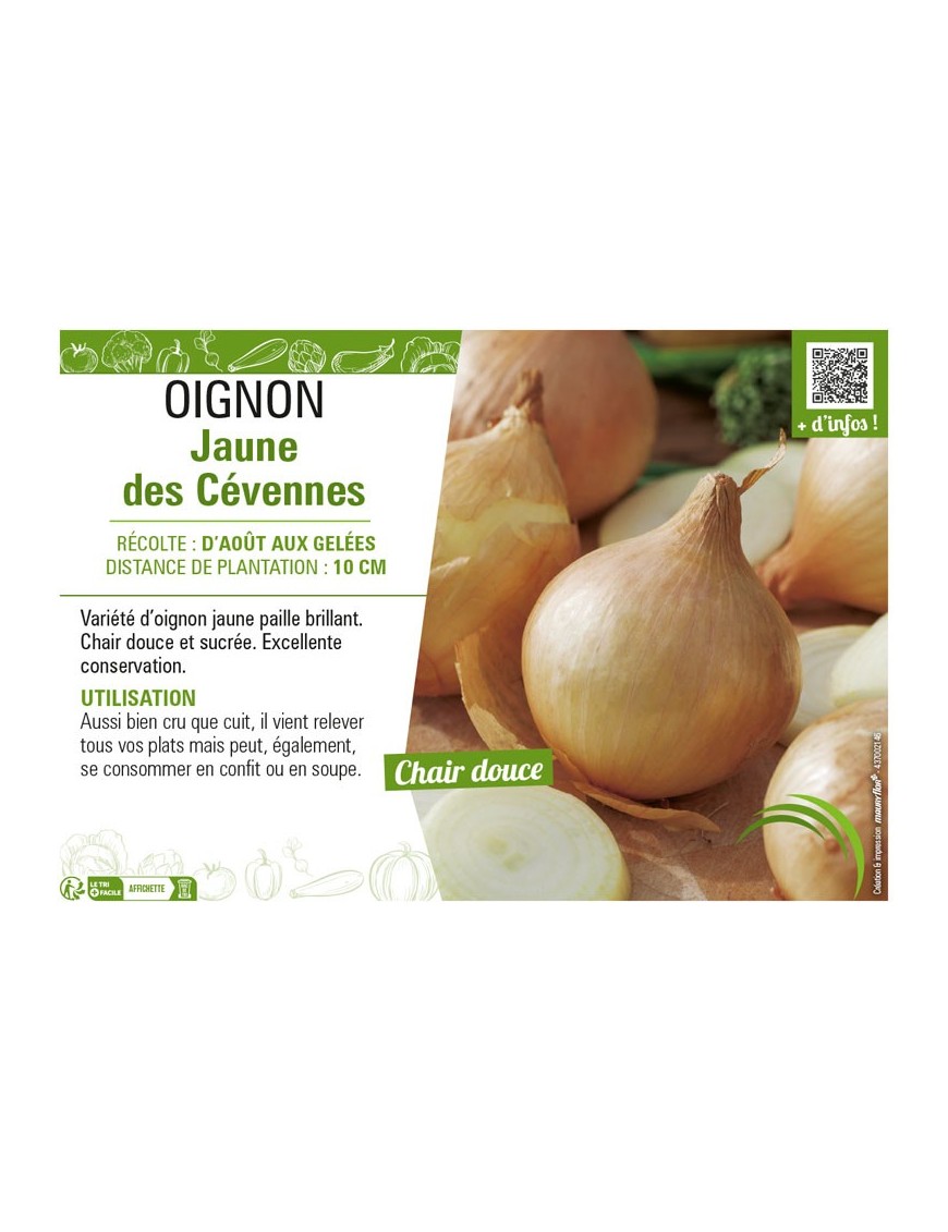 OIGNON JAUNE DES CEVENNES