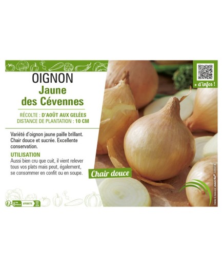 OIGNON JAUNE DES CEVENNES