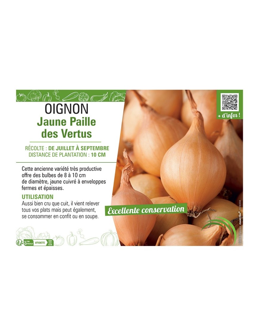 OIGNON JAUNE PAILLE DES VERTUS