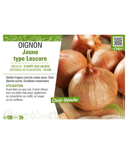OIGNON JAUNE TYPE LESCURE