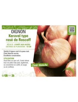 OIGNON KERAVEL TYPE ROSÉ DE ROSCOFF