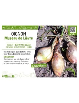 OIGNON MUSEAU DE LIEVRE