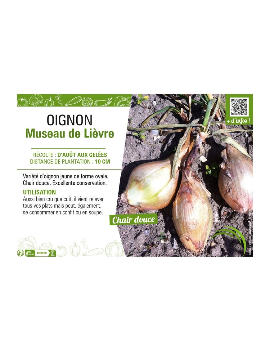 OIGNON MUSEAU DE LIEVRE