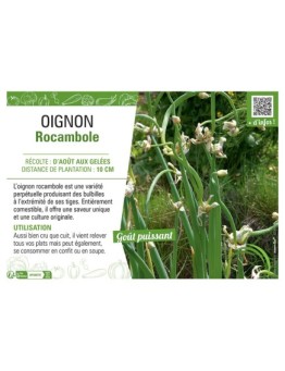 OIGNON ROCAMBOLE