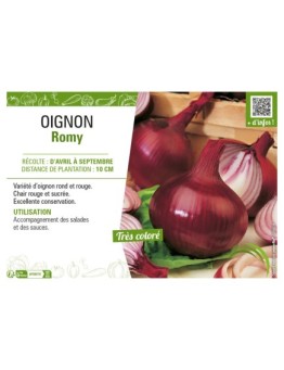 OIGNON ROMY