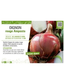 OIGNON ROUGE AMPOSTA