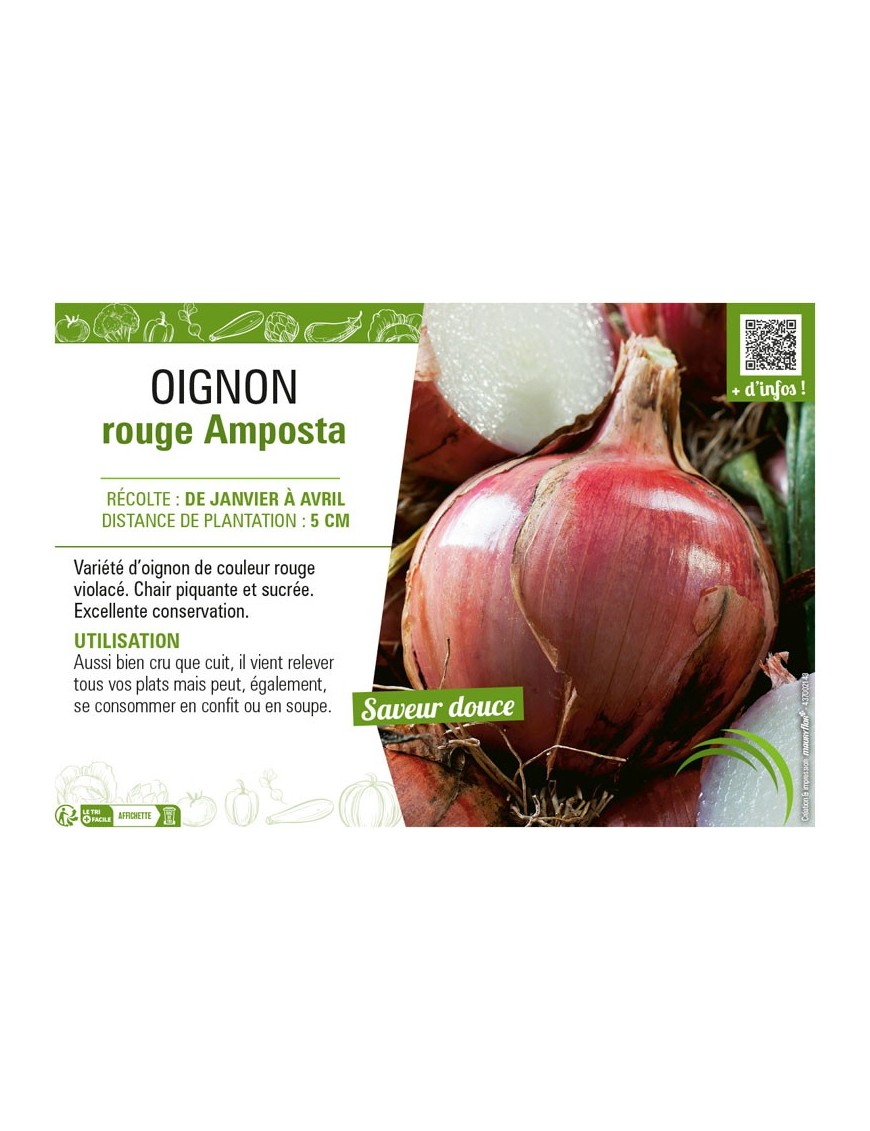 OIGNON ROUGE AMPOSTA