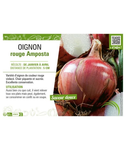 OIGNON ROUGE AMPOSTA