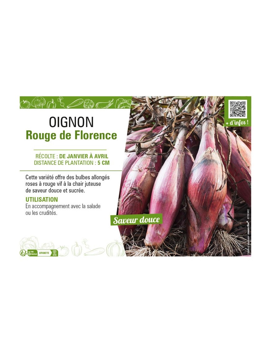 OIGNON ROUGE DE FLORENCE