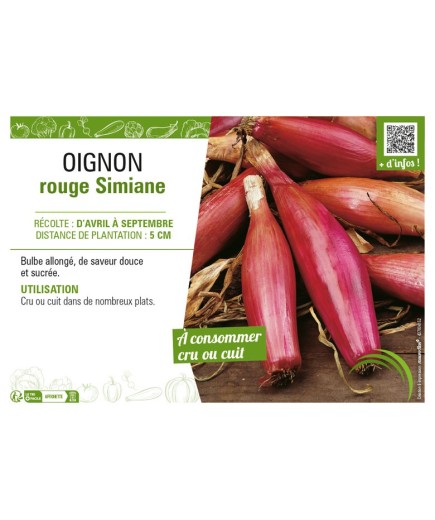 OIGNON ROUGE SIMIANE
