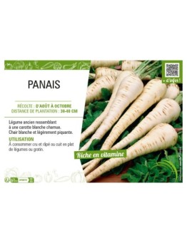 PANAIS