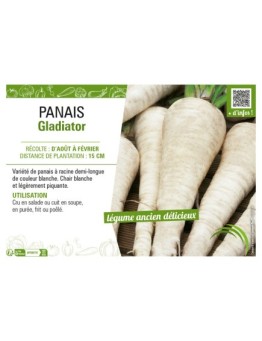 PANAIS GLADIATOR